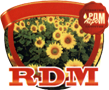 RDM